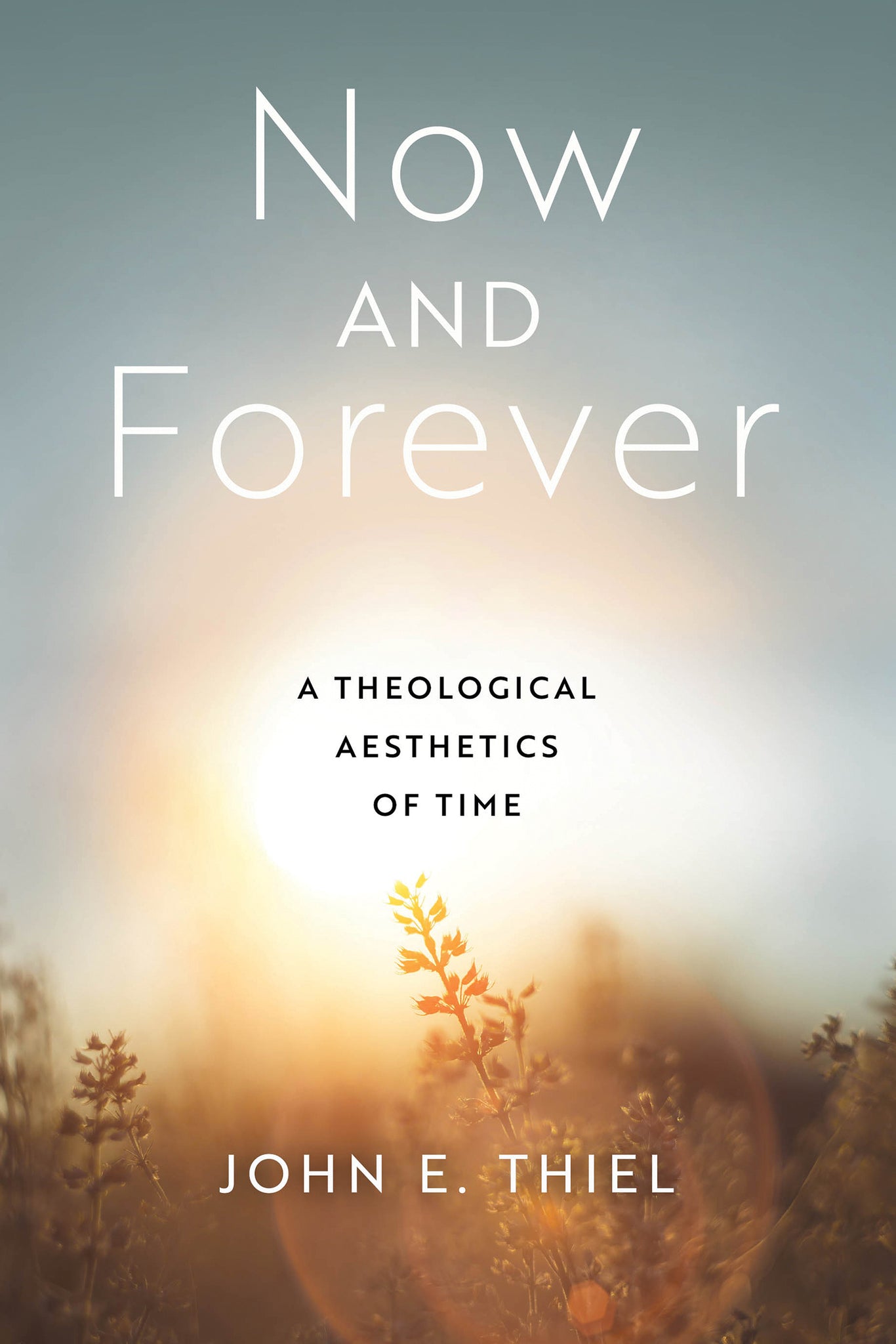 Cover image for Now and Forever ISBN 9780268205232
